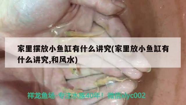 家里擺放小魚(yú)缸有什么講究(家里放小魚(yú)缸有什么講究,和風(fēng)水) 魚(yú)缸風(fēng)水