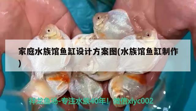 家庭水族館魚缸設(shè)計(jì)方案圖(水族館魚缸制作) 帝王迷宮