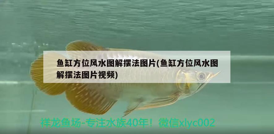 魚缸方位風(fēng)水圖解擺法圖片(魚缸方位風(fēng)水圖解擺法圖片視頻) 魚缸風(fēng)水