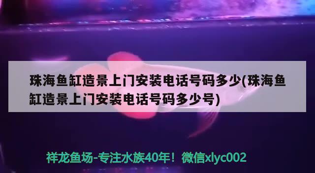 珠海魚缸造景上門安裝電話號碼多少(珠海魚缸造景上門安裝電話號碼多少號)