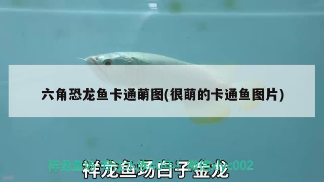 六角恐龍魚卡通萌圖(很萌的卡通魚圖片) 大嘴鯨魚