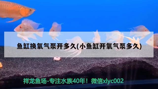 魚缸換氧氣泵開多久(小魚缸開氧氣泵多久)