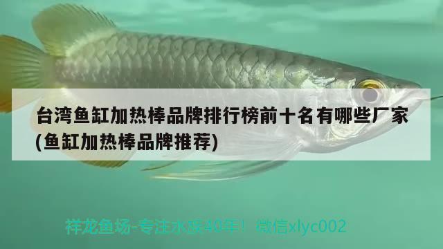 臺灣魚缸加熱棒品牌排行榜前十名有哪些廠家(魚缸加熱棒品牌推薦) 白子紅龍魚