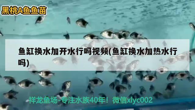 魚缸換水加開水行嗎視頻(魚缸換水加熱水行嗎)