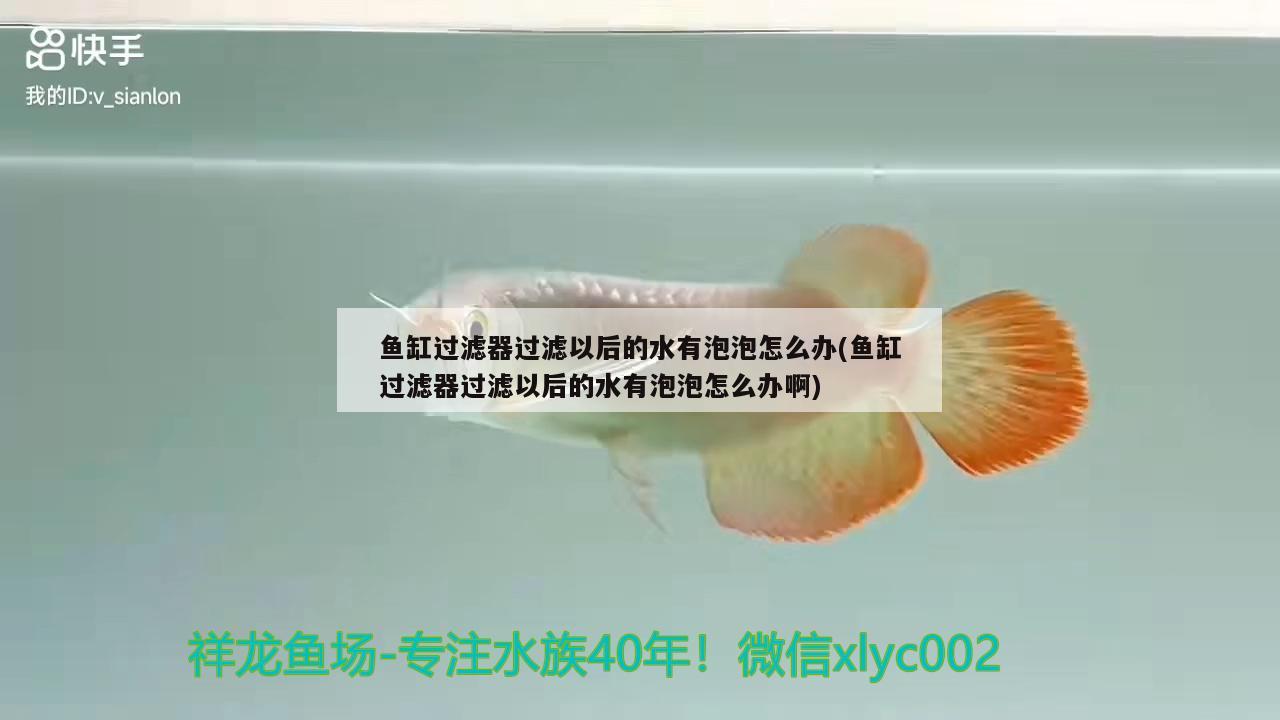 魚缸過濾器過濾以后的水有泡泡怎么辦(魚缸過濾器過濾以后的水有泡泡怎么辦啊) 養(yǎng)魚知識(shí)