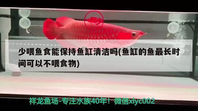 少喂魚食能保持魚缸清潔嗎(魚缸的魚最長時間可以不喂食物)