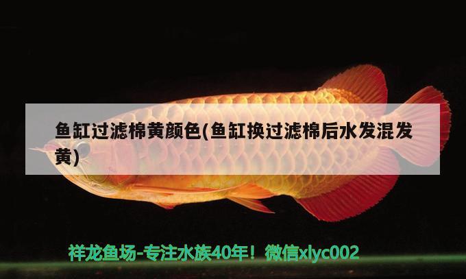 魚(yú)缸過(guò)濾棉黃顏色(魚(yú)缸換過(guò)濾棉后水發(fā)混發(fā)黃)