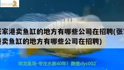 張家港賣魚缸的地方有哪些公司在招聘(張家港賣魚缸的地方有哪些公司在招聘) 祥龍魚場(chǎng)其他產(chǎn)品