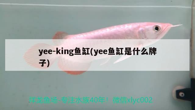 yee-king魚(yú)缸(yee魚(yú)缸是什么牌子) yee