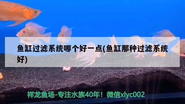 魚缸過濾系統(tǒng)哪個好一點(魚缸那種過濾系統(tǒng)好) 星點金龍魚