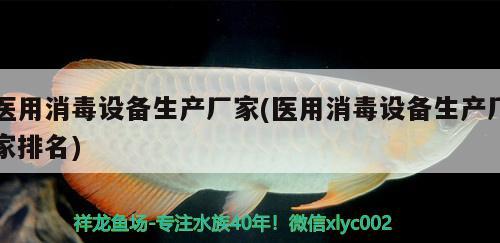 醫(yī)用消毒設備生產(chǎn)廠家(醫(yī)用消毒設備生產(chǎn)廠家排名) 銀龍魚苗