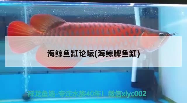 海鯨魚(yú)缸論壇(海鯨牌魚(yú)缸)