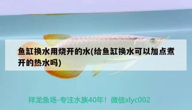 魚(yú)缸換水用燒開(kāi)的水(給魚(yú)缸換水可以加點(diǎn)煮開(kāi)的熱水嗎) 廣州觀賞魚(yú)批發(fā)市場(chǎng)