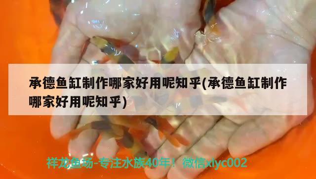 承德魚缸制作哪家好用呢知乎(承德魚缸制作哪家好用呢知乎)