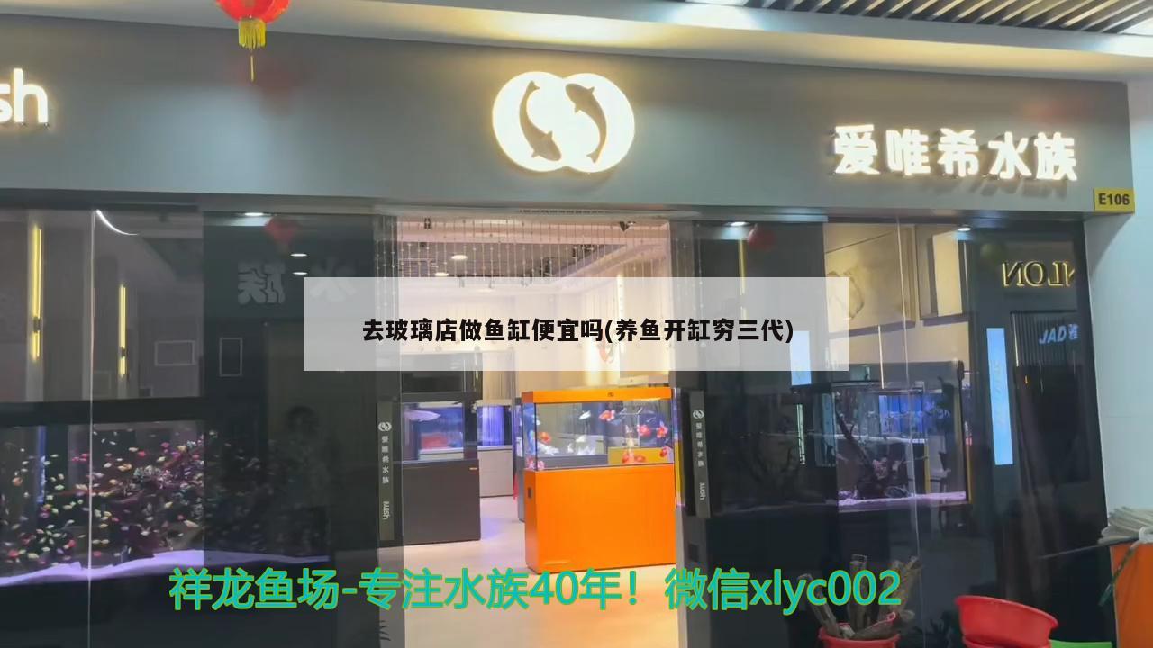 去玻璃店做魚缸便宜嗎(養(yǎng)魚開缸窮三代) 觀賞魚批發(fā)