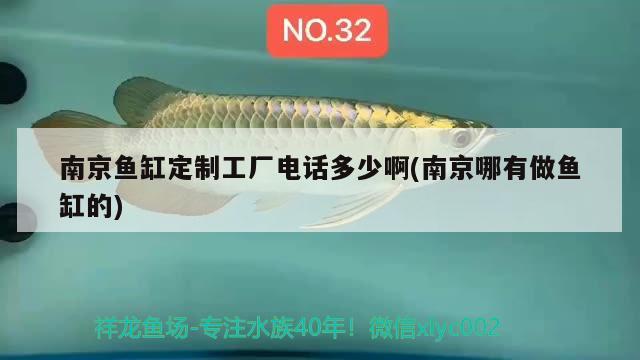 南京魚缸定制工廠電話多少啊(南京哪有做魚缸的) 觀賞魚批發(fā)