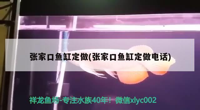 張家口魚缸定做(張家口魚缸定做電話) 白子黑帝王魟魚