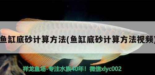 魚缸底砂計算方法(魚缸底砂計算方法視頻)