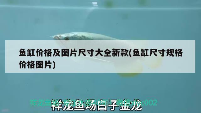 魚缸價(jià)格及圖片尺寸大全新款(魚缸尺寸規(guī)格價(jià)格圖片)