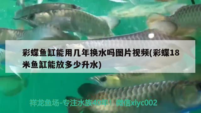 彩蝶魚缸能用幾年換水嗎圖片視頻(彩蝶18米魚缸能放多少升水)