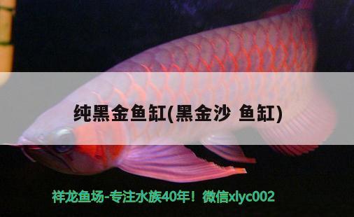 純黑金魚缸(黑金沙魚缸) 帝王血鉆