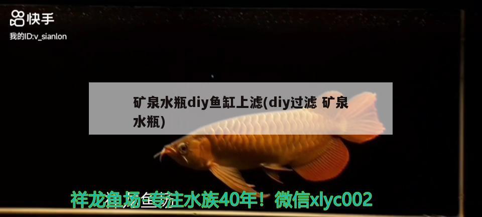 礦泉水瓶diy魚缸上濾(diy過濾礦泉水瓶) 觀賞魚市場 第2張