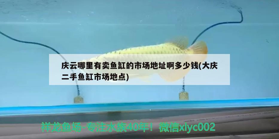 慶云哪里有賣魚缸的市場地址啊多少錢(大慶二手魚缸市場地點) 雙線側(cè)魚