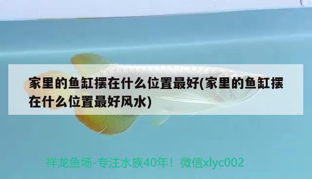 家里的魚(yú)缸擺在什么位置最好(家里的魚(yú)缸擺在什么位置最好風(fēng)水)