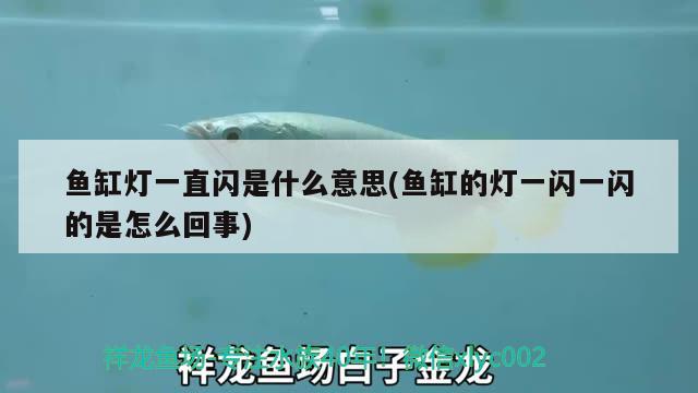 魚缸燈一直閃是什么意思(魚缸的燈一閃一閃的是怎么回事) 潛水艇魚