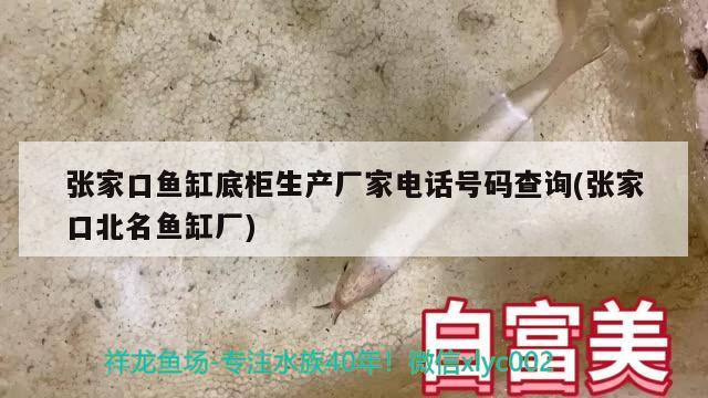 張家口魚缸底柜生產(chǎn)廠家電話號碼查詢(張家口北名魚缸廠) 泰國雪鯽魚