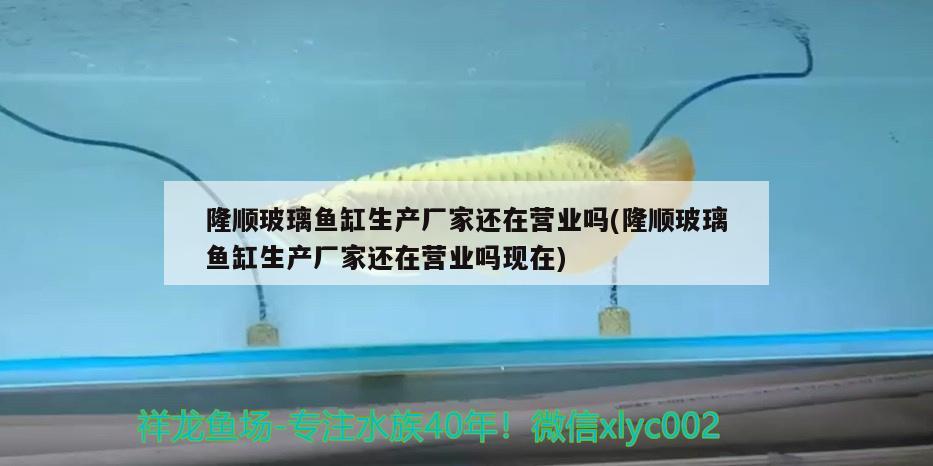 隆順玻璃魚缸生產(chǎn)廠家還在營業(yè)嗎(隆順玻璃魚缸生產(chǎn)廠家還在營業(yè)嗎現(xiàn)在) 白化火箭