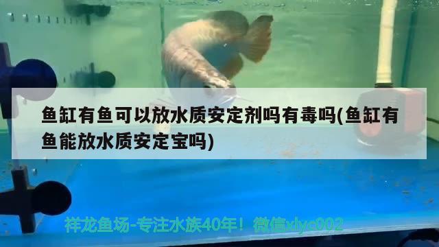 魚缸有魚可以放水質(zhì)安定劑嗎有毒嗎(魚缸有魚能放水質(zhì)安定寶嗎) 伊巴卡魚