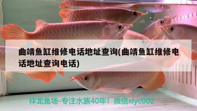 曲靖魚缸維修電話地址查詢(曲靖魚缸維修電話地址查詢電話) 魚缸凈水劑