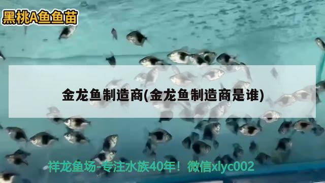 金龍魚制造商(金龍魚制造商是誰) 魚缸百科