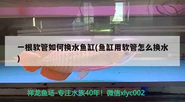 一根軟管如何換水魚缸(魚缸用軟管怎么換水)