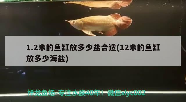 1.2米的魚缸放多少鹽合適(12米的魚缸放多少海鹽)