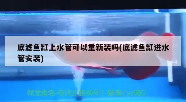 底濾魚缸上水管可以重新裝嗎(底濾魚缸進水管安裝) 九鼎魚缸