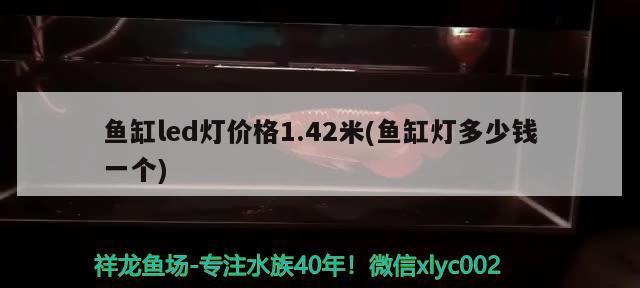 魚缸led燈價格1.42米(魚缸燈多少錢一個)