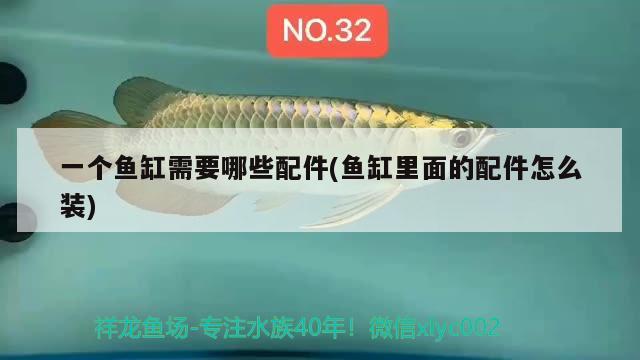 一個(gè)魚缸需要哪些配件(魚缸里面的配件怎么裝) 麥肯斯銀版魚