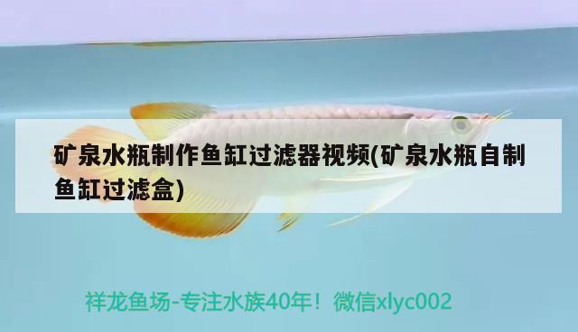 礦泉水瓶制作魚缸過濾器視頻(礦泉水瓶自制魚缸過濾盒)