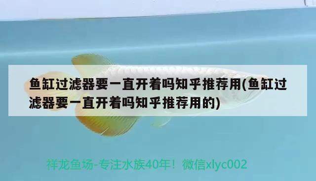 魚缸過濾器要一直開著嗎知乎推薦用(魚缸過濾器要一直開著嗎知乎推薦用的)