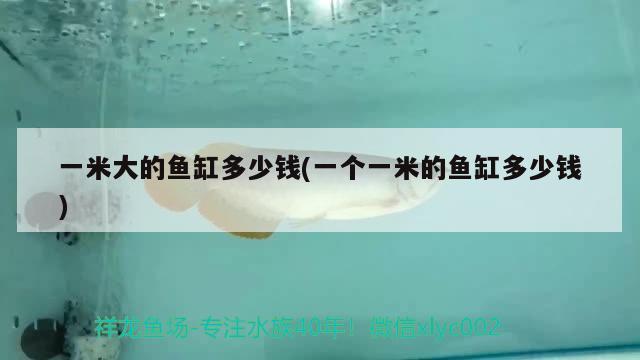 一米大的魚缸多少錢(一個一米的魚缸多少錢) 飛鳳魚苗