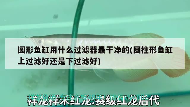 圓形魚缸用什么過濾器最干凈的(圓柱形魚缸上過濾好還是下過濾好) 水族用品