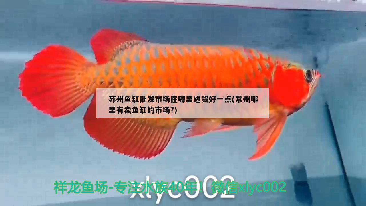 蘇州魚(yú)缸批發(fā)市場(chǎng)在哪里進(jìn)貨好一點(diǎn)(常州哪里有賣(mài)魚(yú)缸的市場(chǎng)？) 沖氧泵