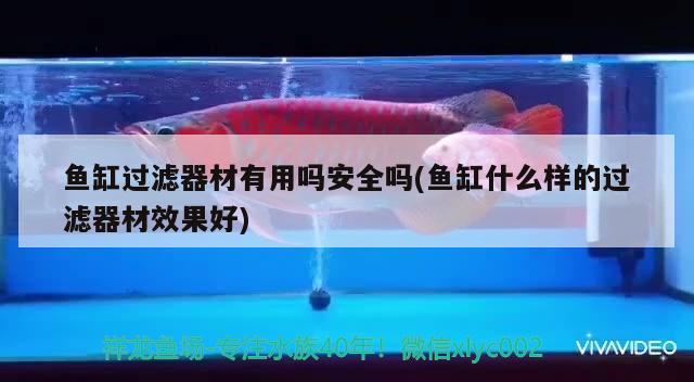 魚缸過濾器材有用嗎安全嗎(魚缸什么樣的過濾器材效果好) 觀賞魚市場