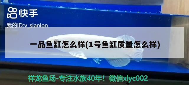 一品魚缸怎么樣(1號魚缸質(zhì)量怎么樣) 除藻劑