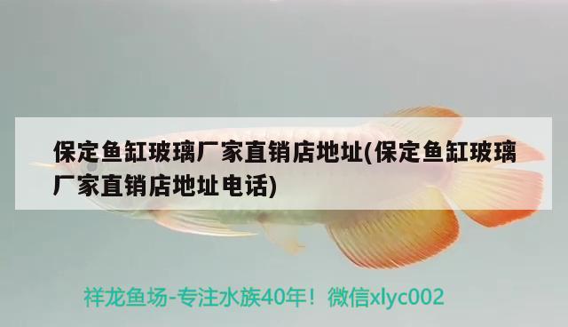 保定魚缸玻璃廠家直銷店地址(保定魚缸玻璃廠家直銷店地址電話) 觀賞龜/鱉飼料