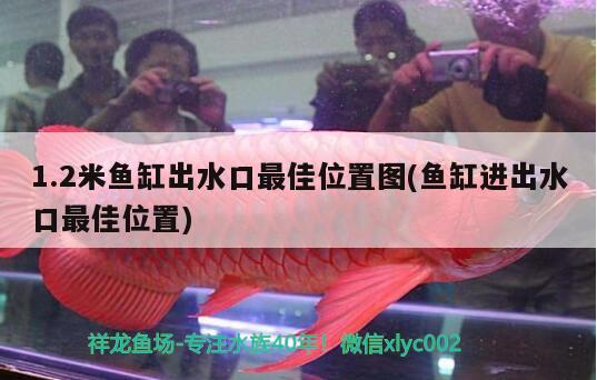 1.2米魚缸出水口最佳位置圖(魚缸進出水口最佳位置) 三間鼠魚