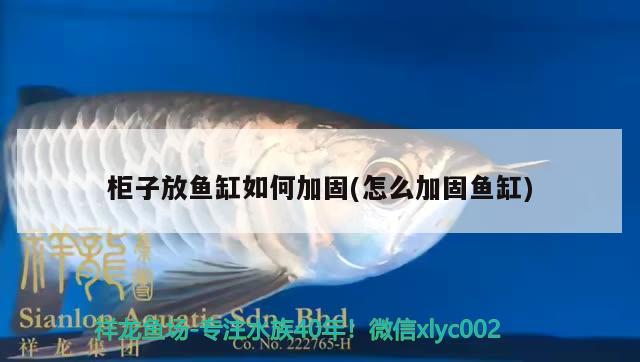 柜子放魚缸如何加固(怎么加固魚缸)