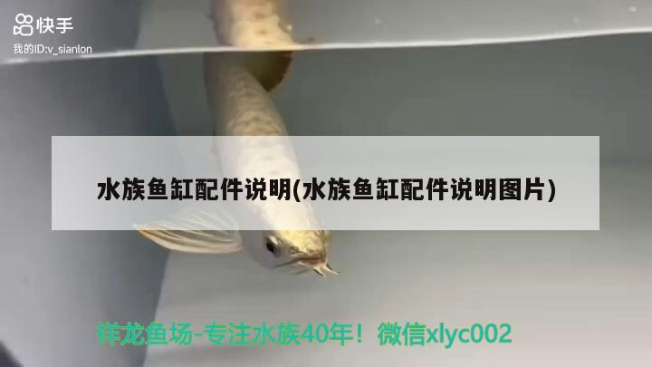 水族魚缸配件說明(水族魚缸配件說明圖片) 巴西亞魚